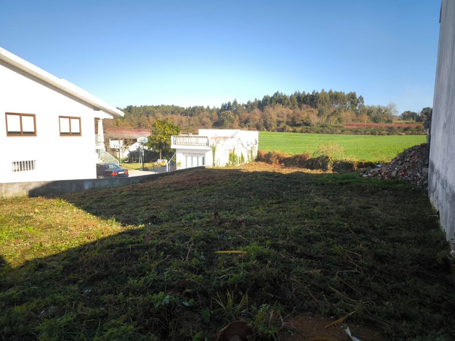 Limpeza e desmatação de terrenos