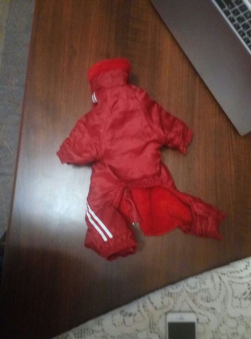 комбинезони для собак