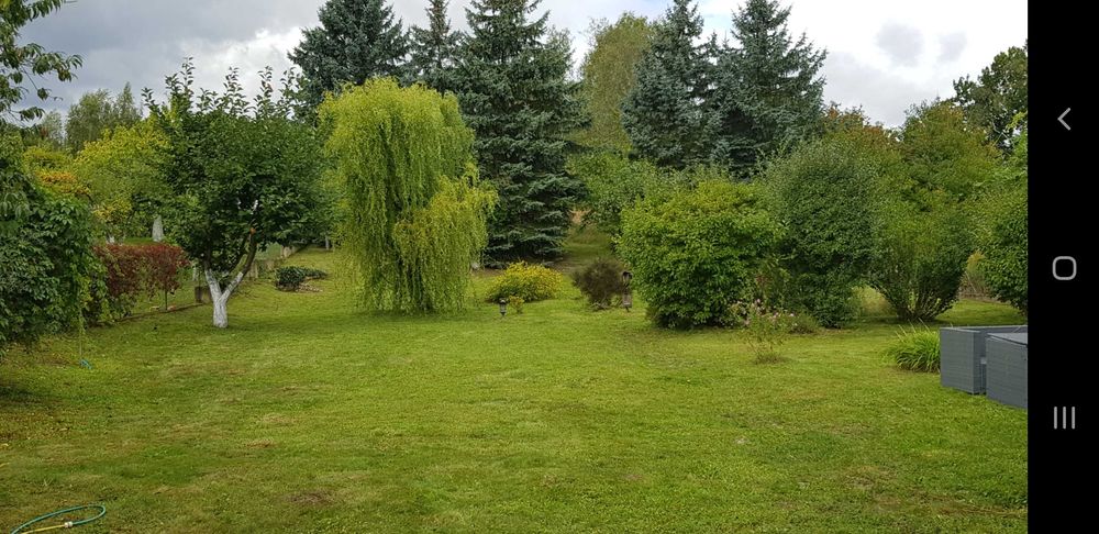 Usługi ogrodnicze, pielęgnacja ogrodów.