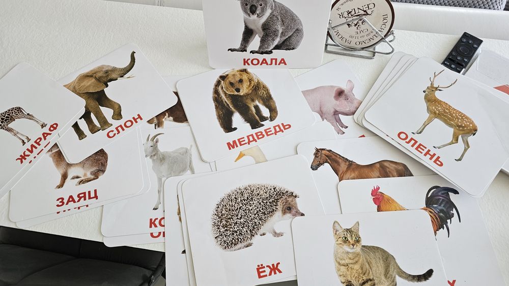 Набір картки Домана, велика валіза, рос і укр мови