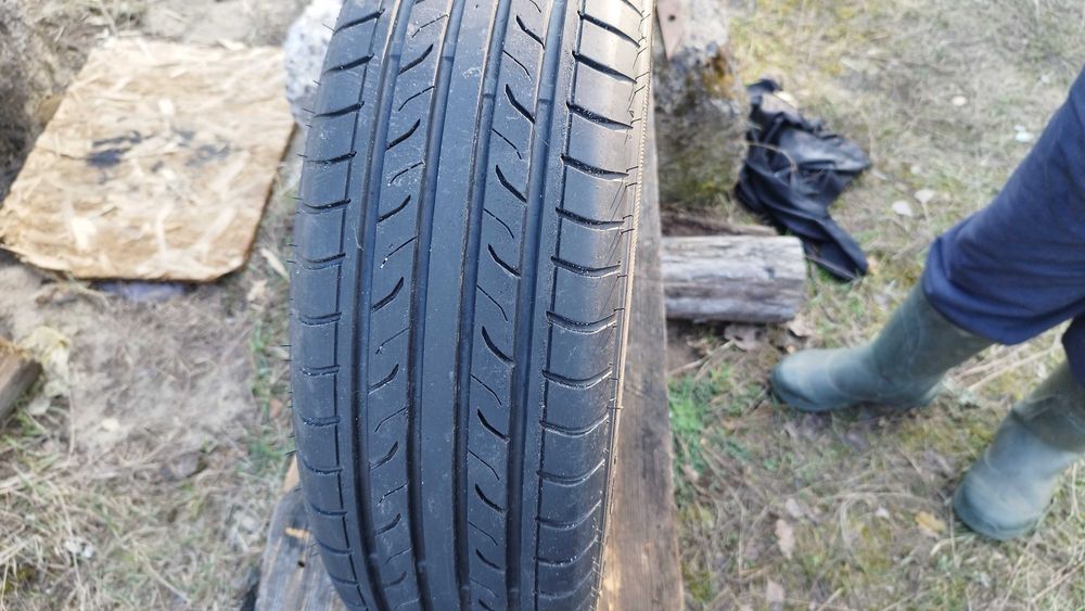 Літня ризіна в хорошому стані, вживана