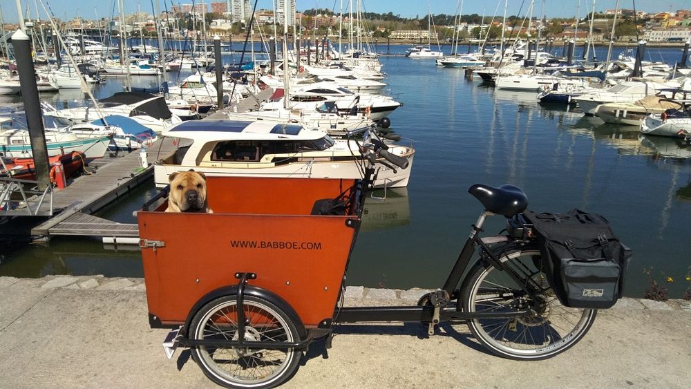 Bicicleta de carga Babboe