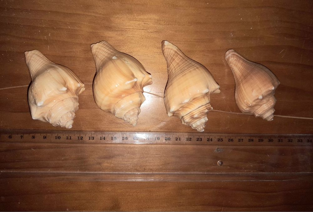 Artigos diversos de decoração