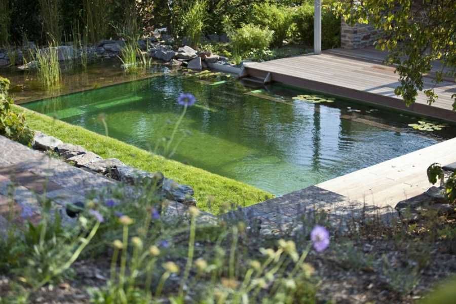 Водоем пруд озеро Водойма