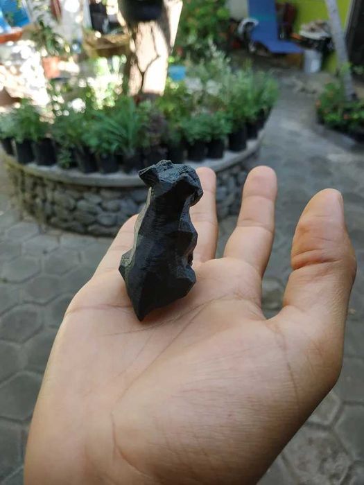 Low poly Schnauzer sem cauda