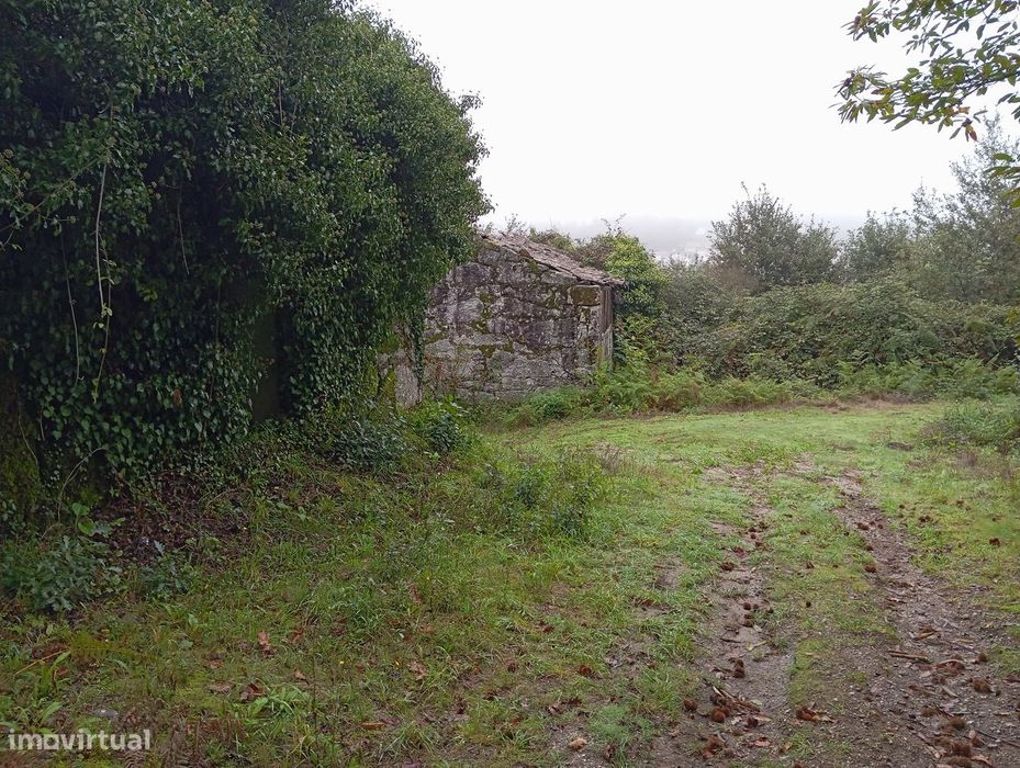 Terreno em Ribeiros, Fafe