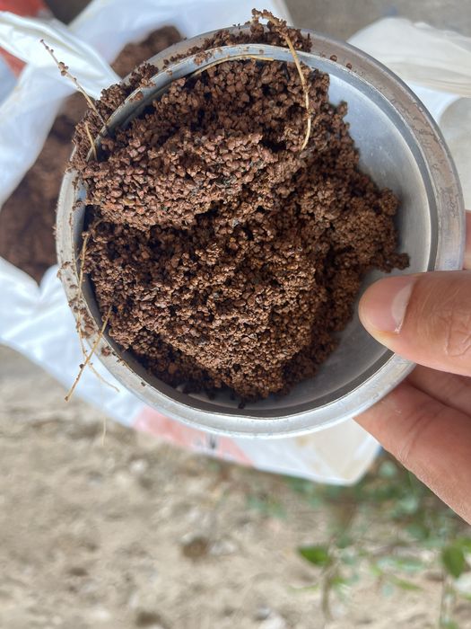 Substrato de terra para aquario por litro