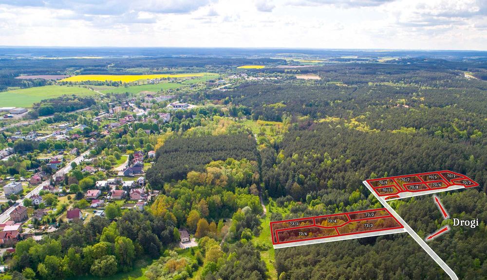 Torzym Młyńska Ostoja