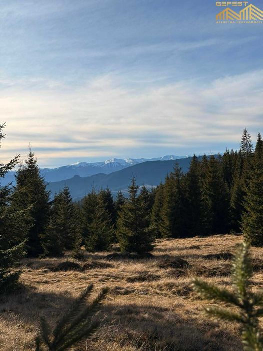 Верховина. Верховинський район. Земельна ділянка в Карпатах