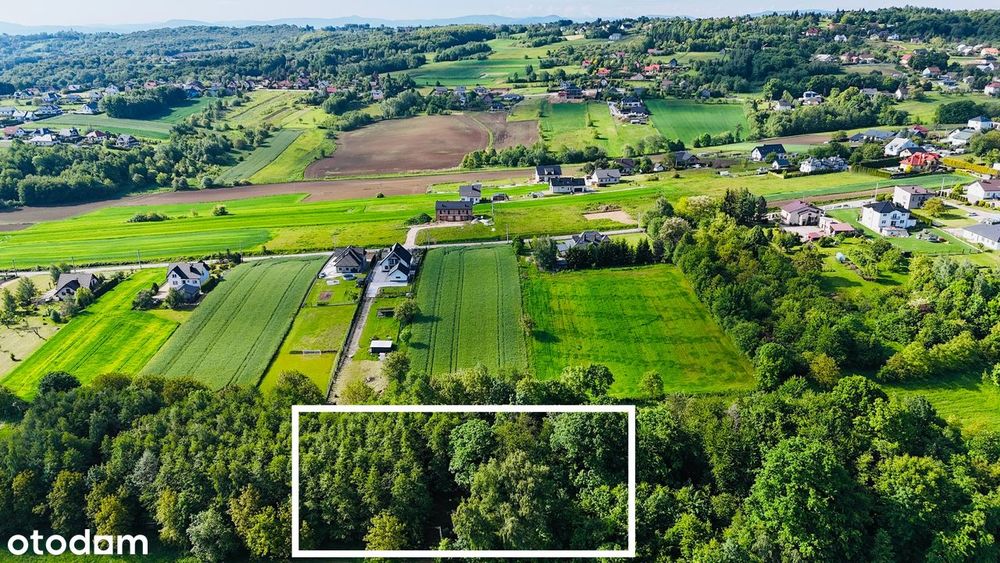 Zadbana działka rekreacyjna z domkiem letniskowym Biskupice - Widok 6