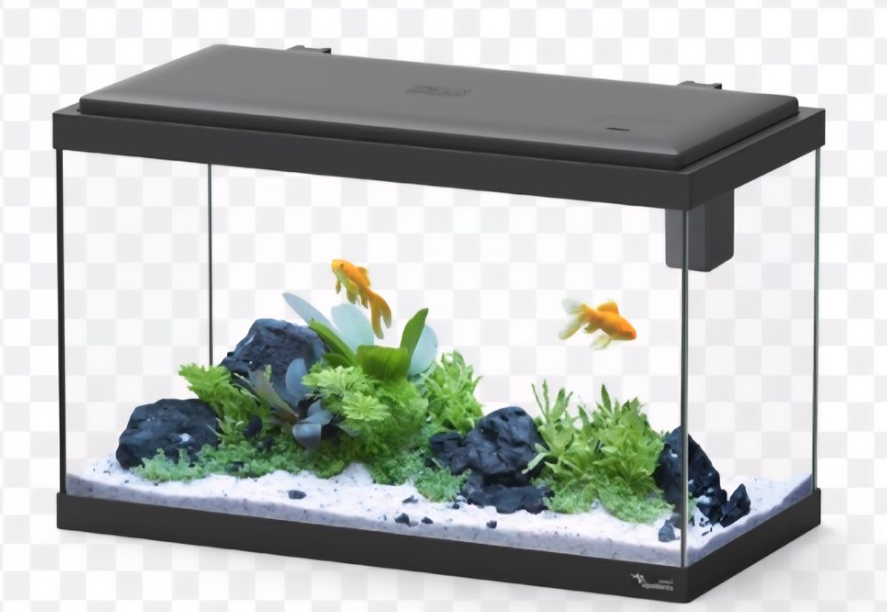 Aquarios de diferentes tamanhos