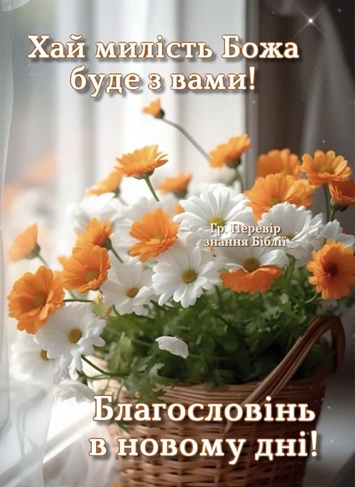 Опекунство над пожилыми людьми