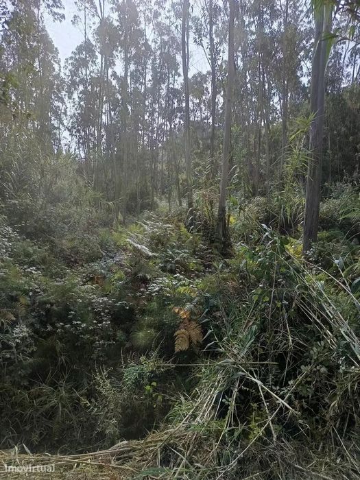 Quinta do Castanho