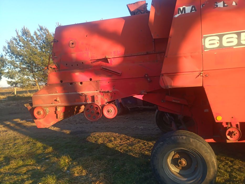 Kombajn Massey Ferguson 665 przystawka do kukurydzy