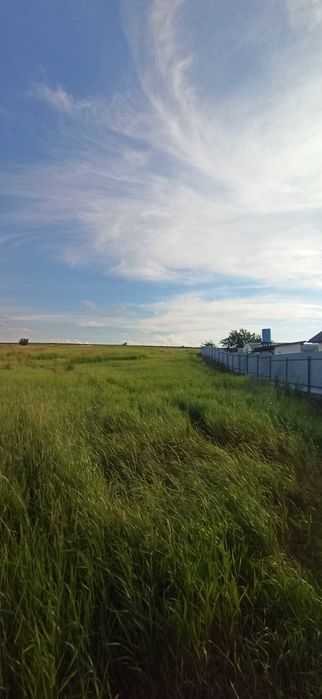 Продам земельну ділянку в Шкарівці