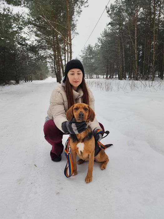 Kłapoucha, pogodna i energiczna Beza