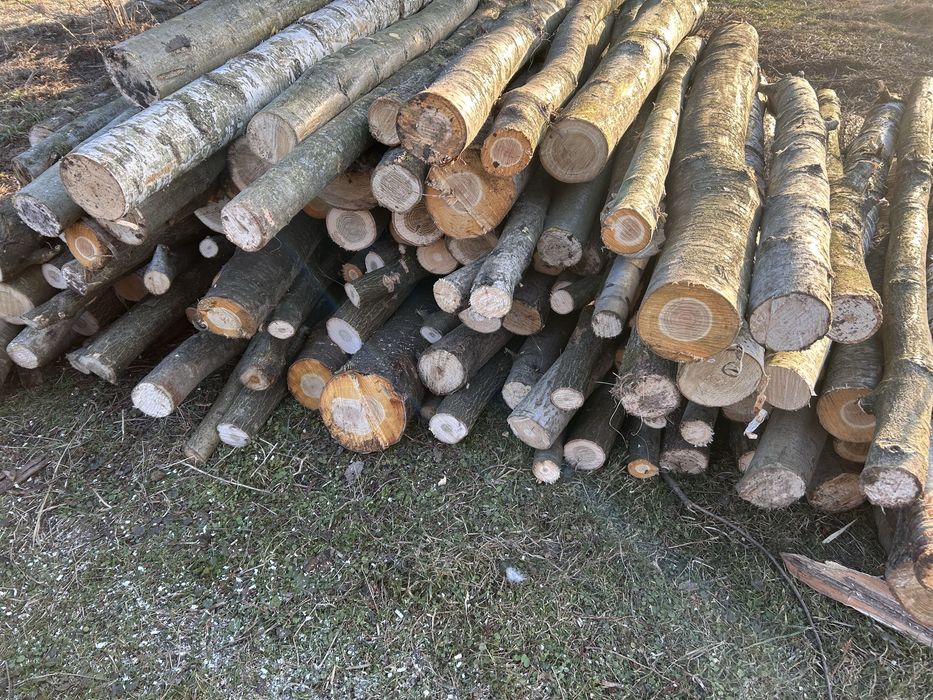 Дрова Дуб Граб Черешня Береза.САМОВИВІЗ!