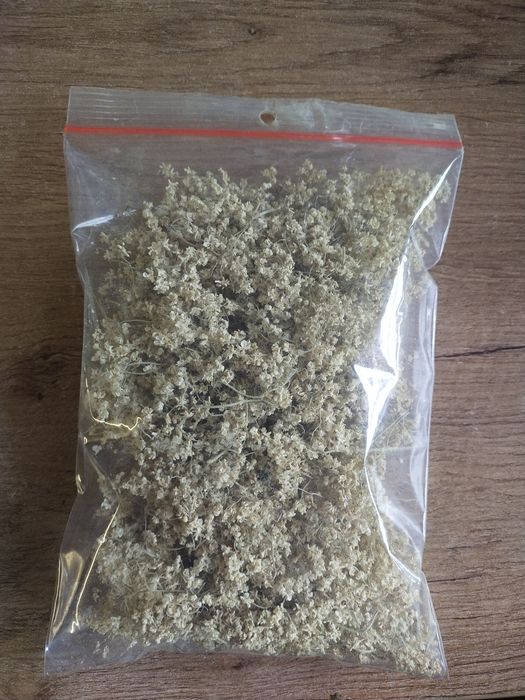 Kwiat bzu czarnego na zdrowe herbatki.