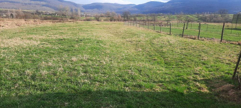 Земельна ділянка