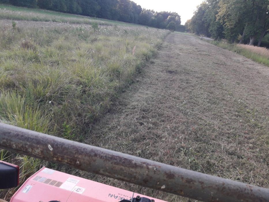 Koszenie nieużytków, działek itp.