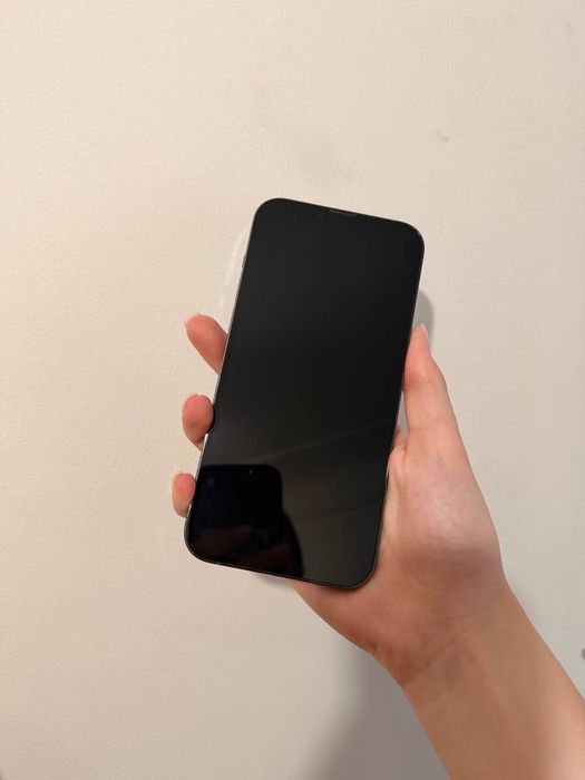 IPhone 13 pro max (128gbt)