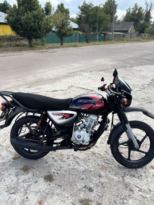 Баджадж боксер 125