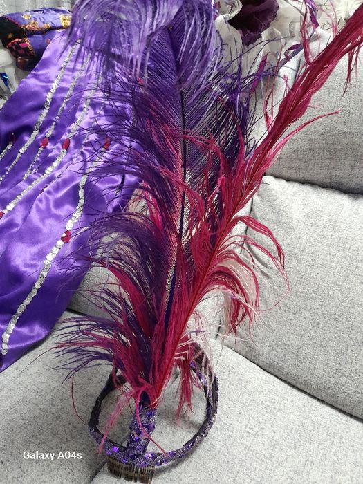Fantasia de carnaval com teara com lindas plumas lindíssima carnaval