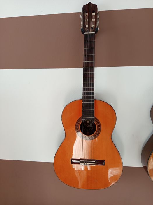 Gitara klasyczna kasuga