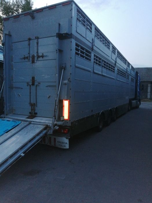 Naczepa Pezzaioli + SCANIA R450      do bydła, żywca, zwierzat