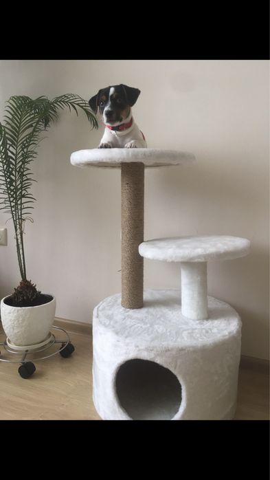 Домик Когтеточка Для кота, Лазалка от производителя для Кошки (Много!)