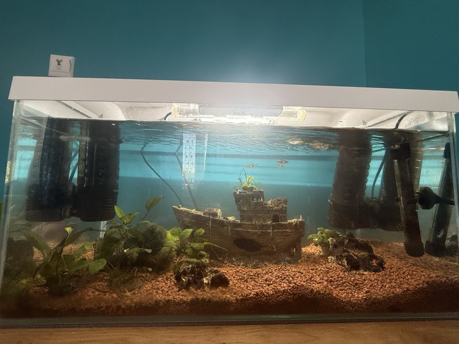 Awarium aquel 60l z akcesoriami i rybami