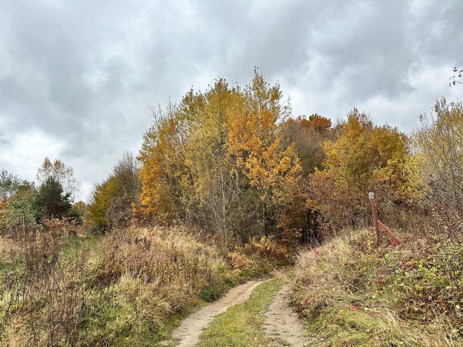 Продаж ділянки під забудову,16 соток Бірки, Львівська обл