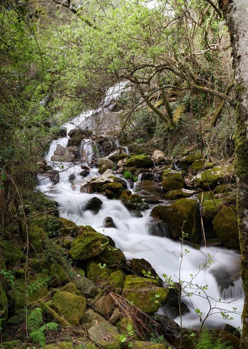 Casa em pedra para restauro