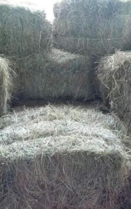 Тюки соломи,сіна