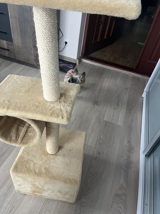 Будинучок для кішки