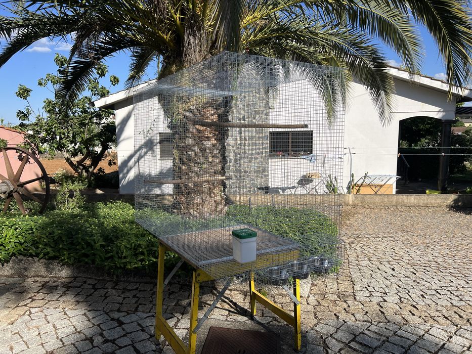 Viveiros para aves por medida