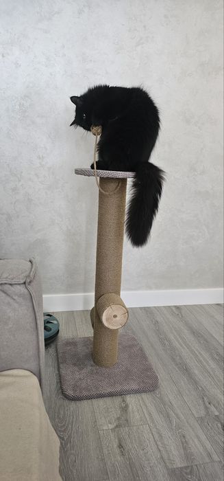 Когтеточка з дерева 65/82/102см 11Ø для Великих котів для мейнкунів