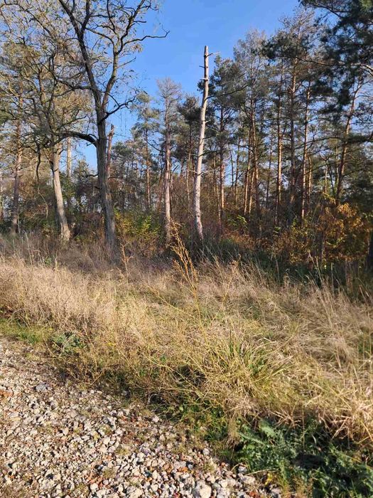 Продаж земельної ділянки під забудову в с.Бохоники 0962