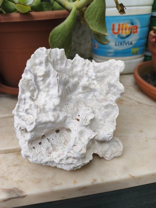 Pedra para aquário