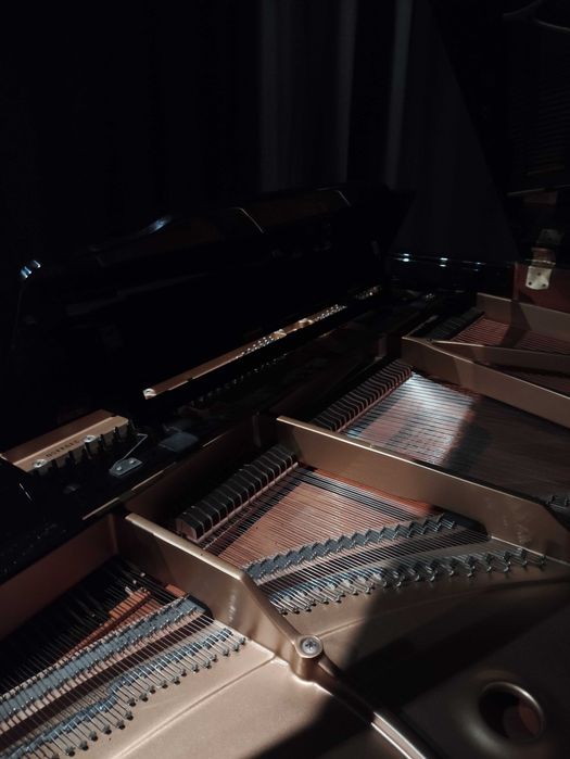 Aulas de piano particulares num piano de cauda Kawai
