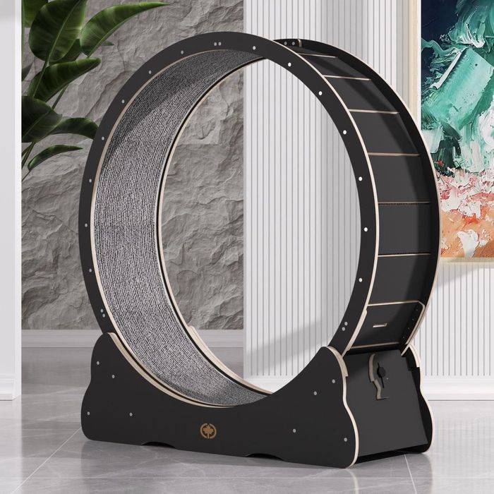 Roda/esterira para gatos