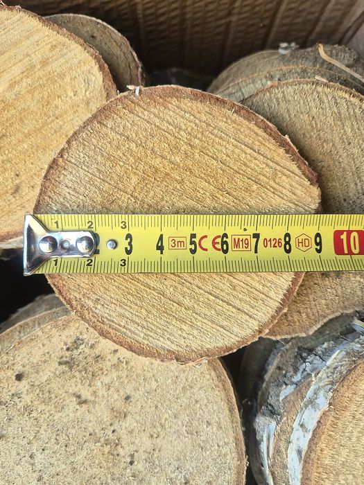 Plastry drewna brzoza krążki drewniane stroik winietki ślub podstawka