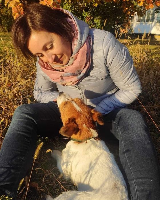 Индивидуальная домашняя передержка собак любых пород