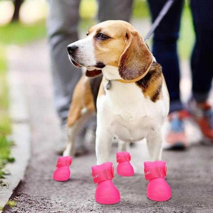 Обувь для мини собачки