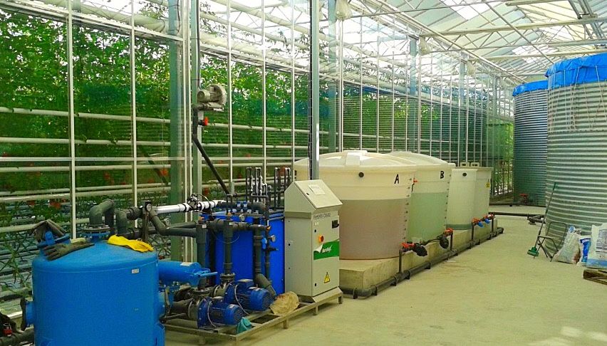 Готовий тепличний бізнес