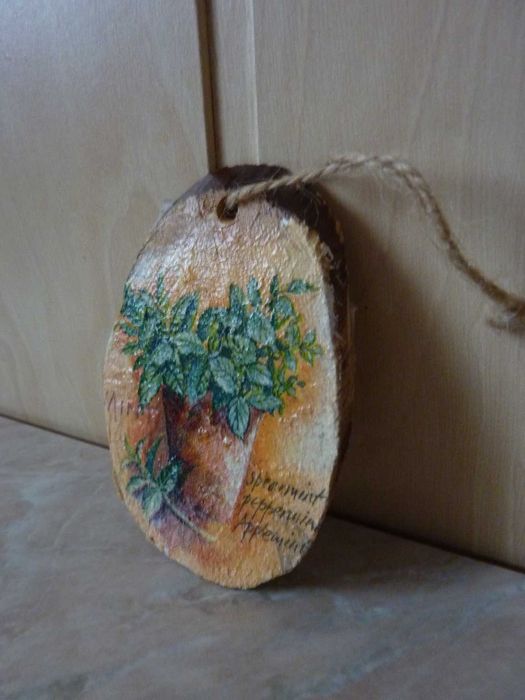 Botaniczny obrazek dwustronny plaster zajączek