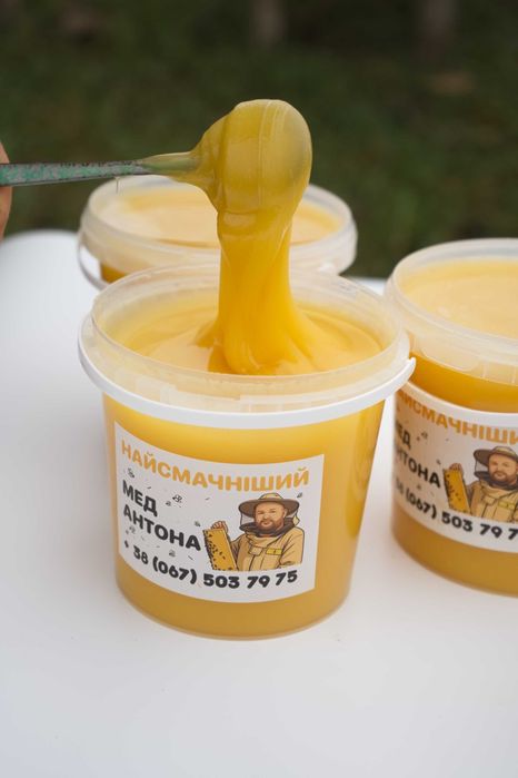 Мед у сотах. Стільниковий мед. доставка!