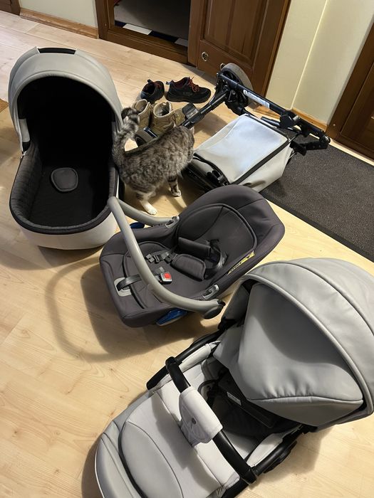 дитяча коляска Anex Cross 3в1