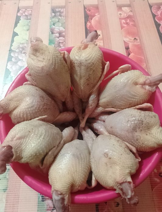 Всегда в наличии!!!  Тушки молодых перепелов!!!