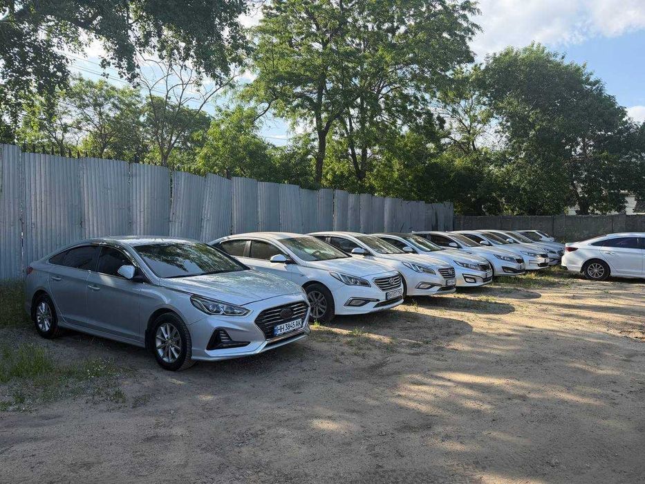 Авто в аренду, аренда авто, оренда авто, авто під таксі, работа в таксi Hyundai Sonata YF 2014 ГАЗ АВТОМАТ